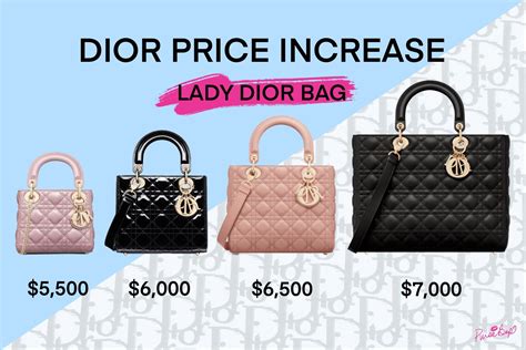 is dior bag worth it
